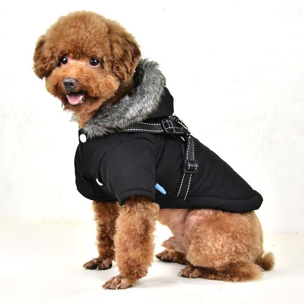 cat costumes pet dog coat winter dogs solid black warm cloth outdoor with hat unique design and novel style
cat costumes pet dog coat winter dogs solid black warm cloth outdoor with hat unique design and novel style