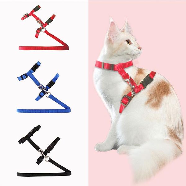 cat collars & leads dog collar harness leash adjustable nylon pet traction kitten halter gato cats products belt
cat collars & leads dog collar harness leash adjustable nylon pet traction kitten halter gato cats products belt