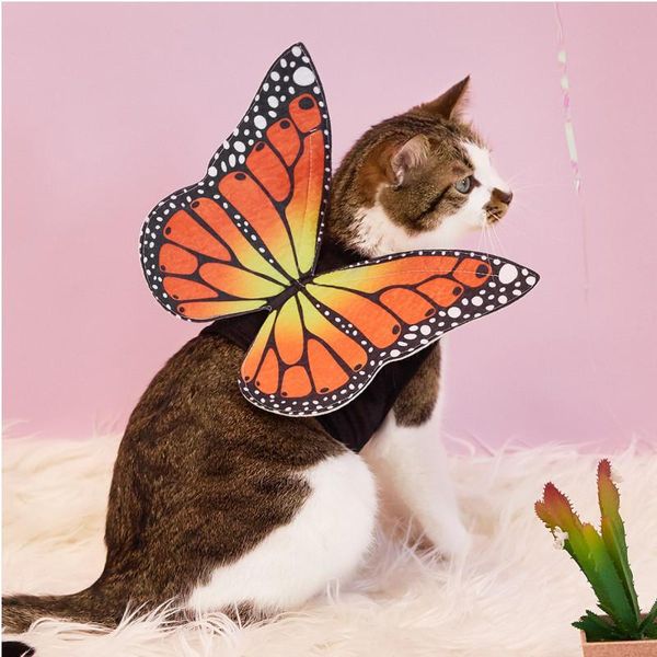 cat costumes 1pc fashion butterfly design pet cosplay costume funny dress up christmas dog clothes
cat costumes 1pc fashion butterfly design pet cosplay costume funny dress up christmas dog clothes
