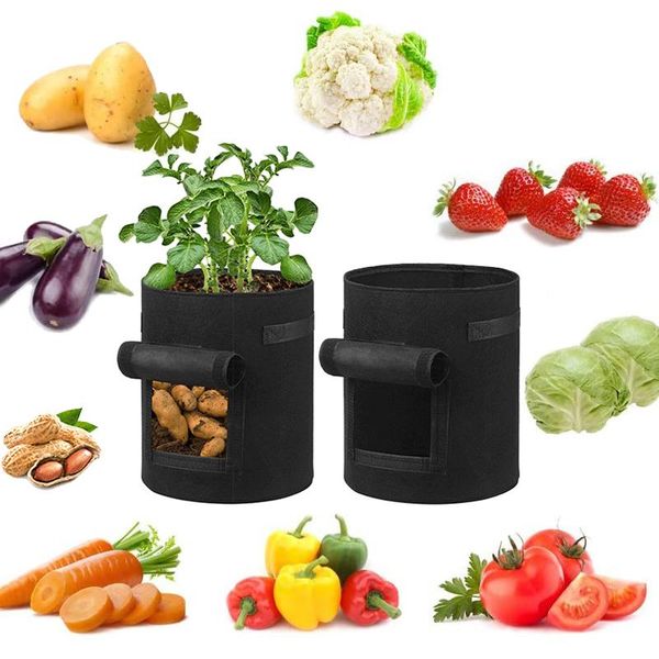 planters & pots 2pcs plant potato grow bags observable jardin gardening growing harvest window garden vegtables flower
planters & pots 2pcs plant potato grow bags observable jardin gardening growing harvest window garden vegtables flower
