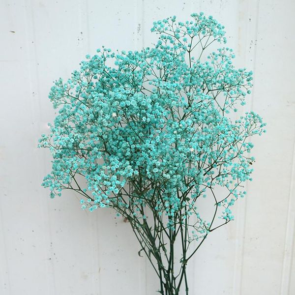 decorative flowers & wreaths baby's breath bouquets natural fresh dried preserved gypsophila paniculata gift dekoration party home decor
decorative flowers & wreaths baby's breath bouquets natural fresh dried preserved gypsophila paniculata gift dekoration party home decor