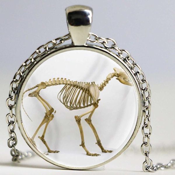 vintage dinosaur skeleton design glass dome classic pendant necklace men women jewelry accessories gifts necklaces, Silver
vintage dinosaur skeleton design glass dome classic pendant necklace men women jewelry accessories gifts necklaces, Silver
