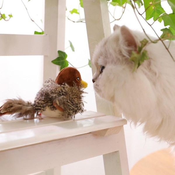 piece multiple style bird plush simulation 3d pet cat toy catnip tease stick interactive gifts for toys
piece multiple style bird plush simulation 3d pet cat toy catnip tease stick interactive gifts for toys