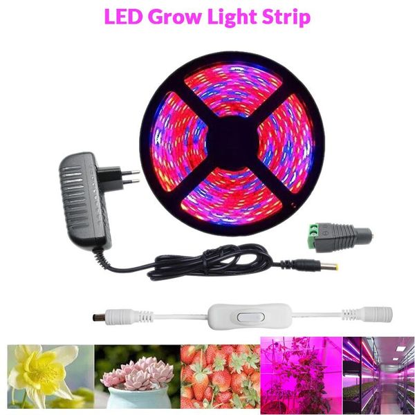 grow lights led plant strip 5m waterproof full spectrum flowers plants phyto lamp for greenhouse hydroponic+power adapter
grow lights led plant strip 5m waterproof full spectrum flowers plants phyto lamp for greenhouse hydroponic+power adapter