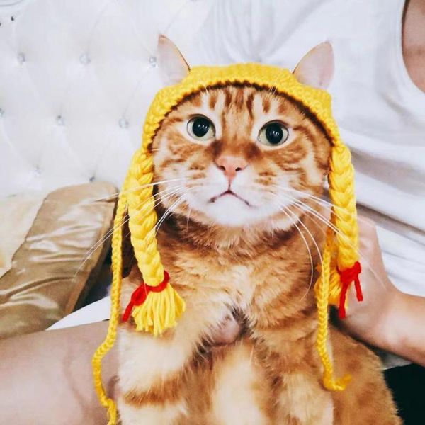 cat costumes pet hat hair accessories dog elf costume headband christmas cute braided set drop
cat costumes pet hat hair accessories dog elf costume headband christmas cute braided set drop