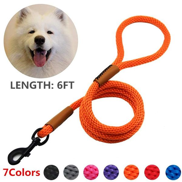 dog collars & leashes 6 feet strong coarse braided leash dogs traction rope walking training lead for medium large pet accessories
dog collars & leashes 6 feet strong coarse braided leash dogs traction rope walking training lead for medium large pet accessories