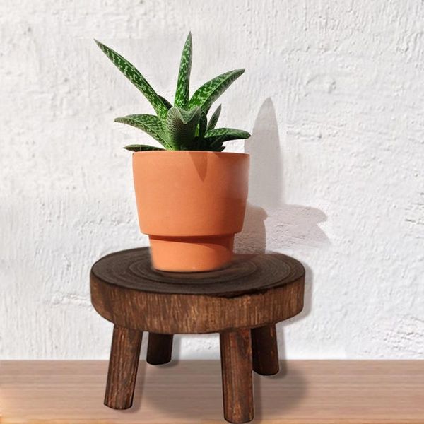 wooden plant stand flower pot base holder stool for indoor outdoor home garden display standing bonsai planters & pots
wooden plant stand flower pot base holder stool for indoor outdoor home garden display standing bonsai planters & pots