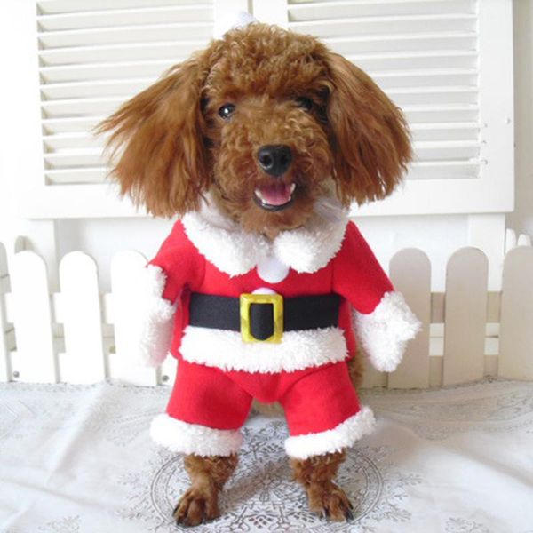 christmas dog dress up casual clothes winter warm cute puppy pet set chihuahua clothing apparel
christmas dog dress up casual clothes winter warm cute puppy pet set chihuahua clothing apparel