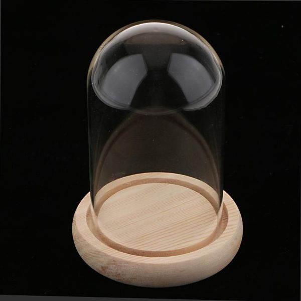 vases magideal glass landscape flower container party cupcake cover dome with wooden base
vases magideal glass landscape flower container party cupcake cover dome with wooden base