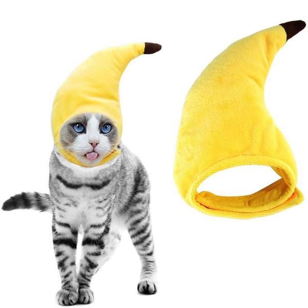 cat costumes pet halloween banana hat dog thanksgiving headgear costume cap apparel for cats kitten puppy
cat costumes pet halloween banana hat dog thanksgiving headgear costume cap apparel for cats kitten puppy