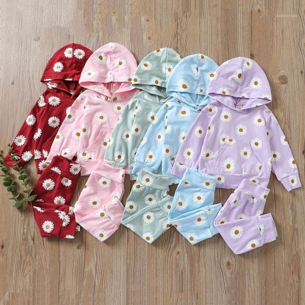 clothing sets autumn spring 2pcs kids baby girls clothes tracksuit homewear children floral long sleeve pullover hoodies pants set 0-4y1, White 
clothing sets autumn spring 2pcs kids baby girls clothes tracksuit homewear children floral long sleeve pullover hoodies pants set 0-4y1, White