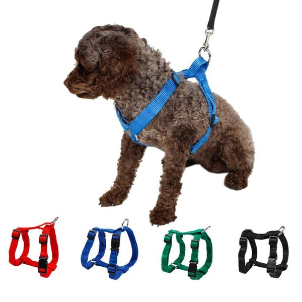 dog collars & leashes pet harness nylon adjustable safety control restraint cat puppy basic collar soft walk vest for small medium large
dog collars & leashes pet harness nylon adjustable safety control restraint cat puppy basic collar soft walk vest for small medium large