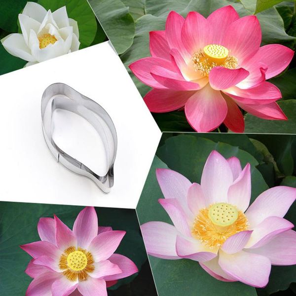 cake tools lotus petals stainless stell cookie cutter pastry & biscuit baking decoration cupcake mold fondant
cake tools lotus petals stainless stell cookie cutter pastry & biscuit baking decoration cupcake mold fondant