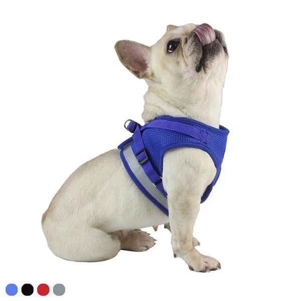 dog collars & leashes cat harness reflective vest pet chest strap mesh breathable and walking leash leads for puppy small medium dogs
dog collars & leashes cat harness reflective vest pet chest strap mesh breathable and walking leash leads for puppy small medium dogs