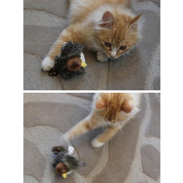 cat toys toy sparrow shaped bird simulation sound pet interactive sounding plush doll brilliant
cat toys toy sparrow shaped bird simulation sound pet interactive sounding plush doll brilliant
