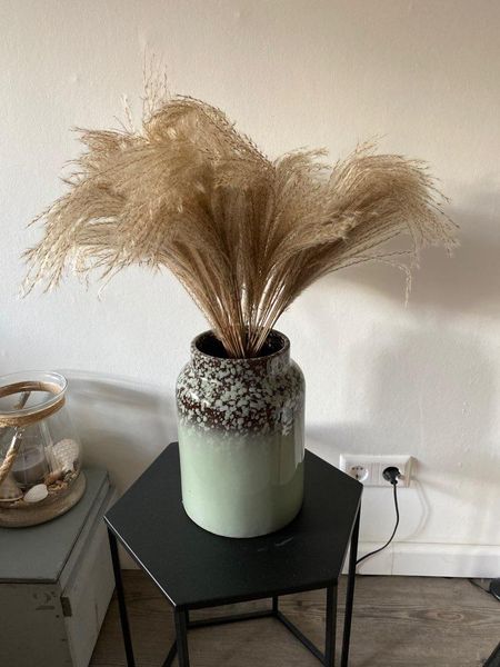 decorative flowers & wreaths 50pcs real dried small pampas grass wedding flower bunch natural plants decor home phragmites
decorative flowers & wreaths 50pcs real dried small pampas grass wedding flower bunch natural plants decor home phragmites