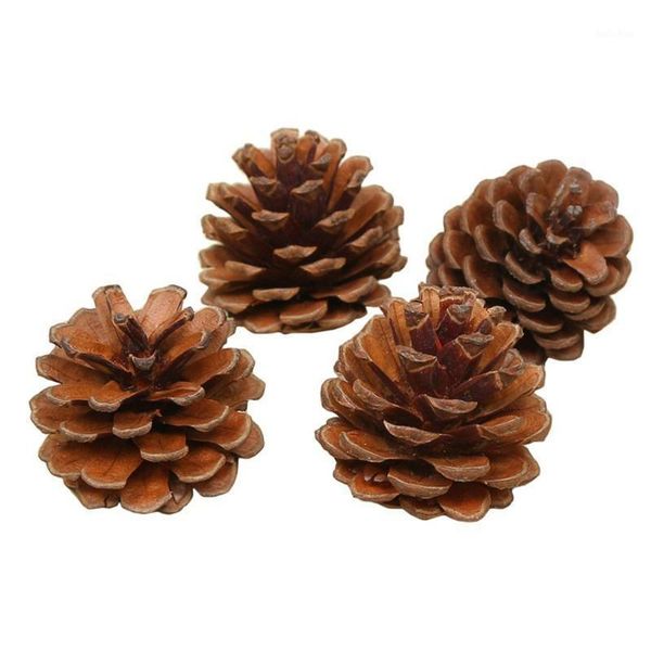 christmas decorations year natural pine cones 9pcs pinecone bauble crafts tree for home navidad hanging ornaments
christmas decorations year natural pine cones 9pcs pinecone bauble crafts tree for home navidad hanging ornaments