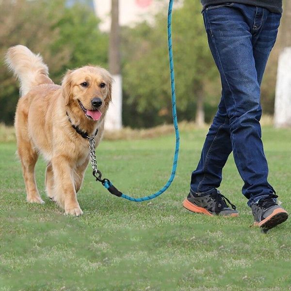 dog collars & leashes 2021 big traction rope nylon pet running tracking long lead climbing medium large
dog collars & leashes 2021 big traction rope nylon pet running tracking long lead climbing medium large