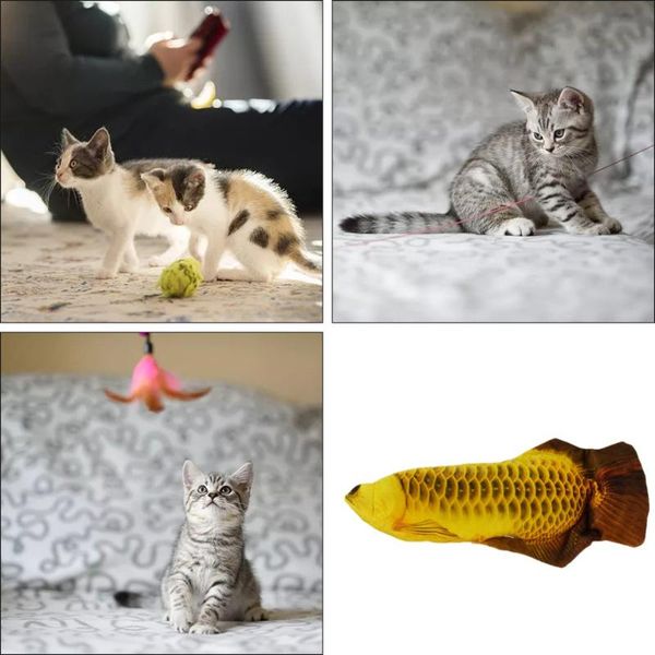 cat toys 30cm toy fish usb electric charging simulation dancing jumping moving floppy electronic for cats
cat toys 30cm toy fish usb electric charging simulation dancing jumping moving floppy electronic for cats