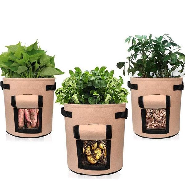 potato grow bags 3 pack 10 gallon garden planting bag breathable nonwoven buckle window design planter planters & pots
potato grow bags 3 pack 10 gallon garden planting bag breathable nonwoven buckle window design planter planters & pots
