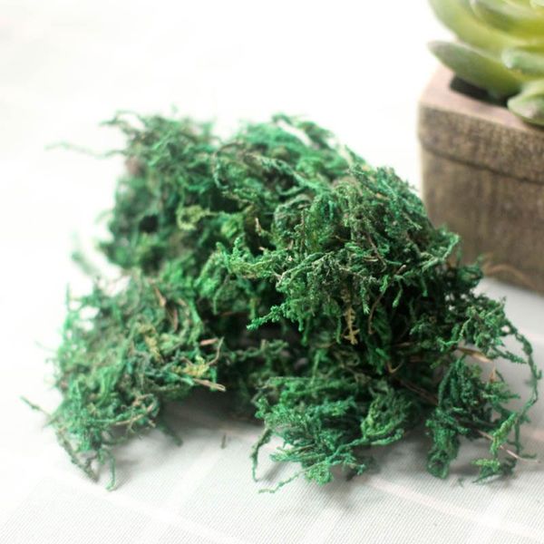 artificial moss lichen simulation fake green plants for home garden patio decoration - (750g) decorative flowers & wreaths
artificial moss lichen simulation fake green plants for home garden patio decoration - (750g) decorative flowers & wreaths