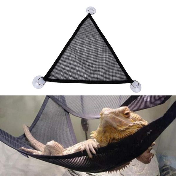 2pcs/set pet hammock mesh sleeping bed play toys for reptile snake lizard climb products with suction cups bird cages
2pcs/set pet hammock mesh sleeping bed play toys for reptile snake lizard climb products with suction cups bird cages