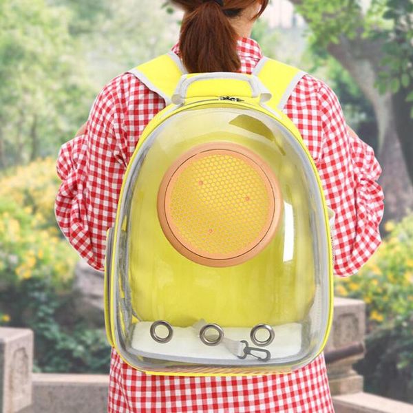 cat carriers,crates & houses transparent carrier backpack breathable puppy bag outdoor travel carrying cage big space pet handbag
cat carriers,crates & houses transparent carrier backpack breathable puppy bag outdoor travel carrying cage big space pet handbag