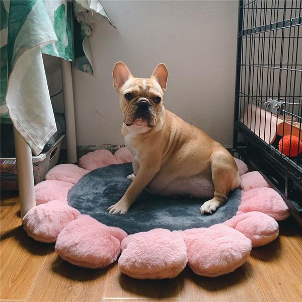 cat beds & furniture 2021 pet feeding mat flower double layer waterproof litter multiple colors to choose dog kennel
cat beds & furniture 2021 pet feeding mat flower double layer waterproof litter multiple colors to choose dog kennel