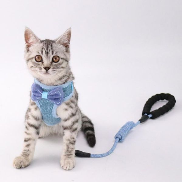 cat collars & leads 100pcs bow harness pet leashes chest adjustable bowknot cats walk strap vest
cat collars & leads 100pcs bow harness pet leashes chest adjustable bowknot cats walk strap vest