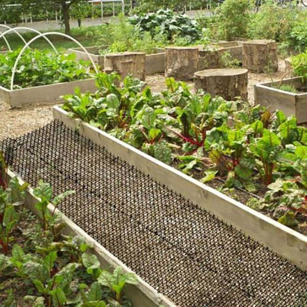 meters cat scat mats with spikes prickle strips anti-cat digging ser for garden protect plants flowers dss899 carriers,crates & houses
meters cat scat mats with spikes prickle strips anti-cat digging ser for garden protect plants flowers dss899 carriers,crates & houses
