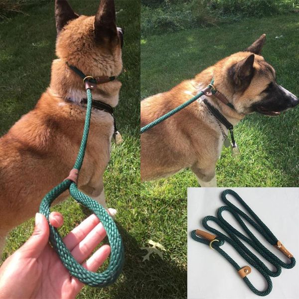 dog leash slip rope lead strong heavy duty braided no pull training leashes for medium large dogs 5 ft collars
dog leash slip rope lead strong heavy duty braided no pull training leashes for medium large dogs 5 ft collars
