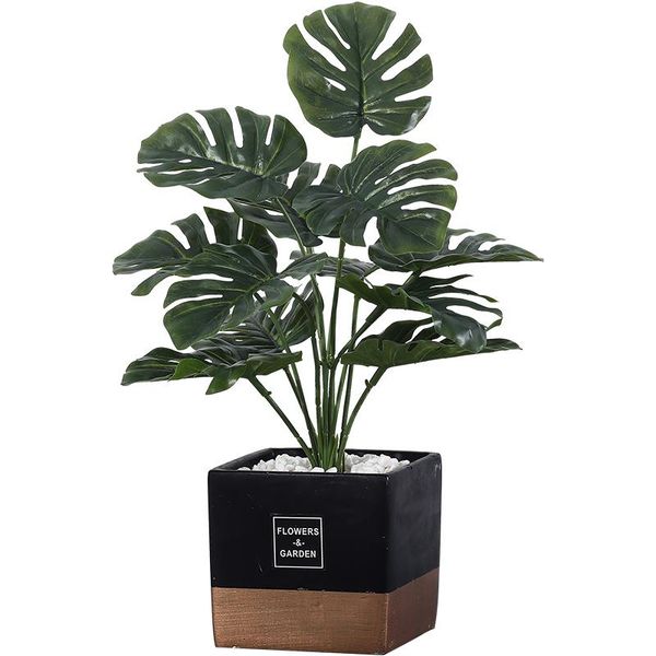 decorative flowers & wreaths 49cm 18heads artificial plants green monstera leaves home garden living room bedroom balcony decoration plastic
decorative flowers & wreaths 49cm 18heads artificial plants green monstera leaves home garden living room bedroom balcony decoration plastic