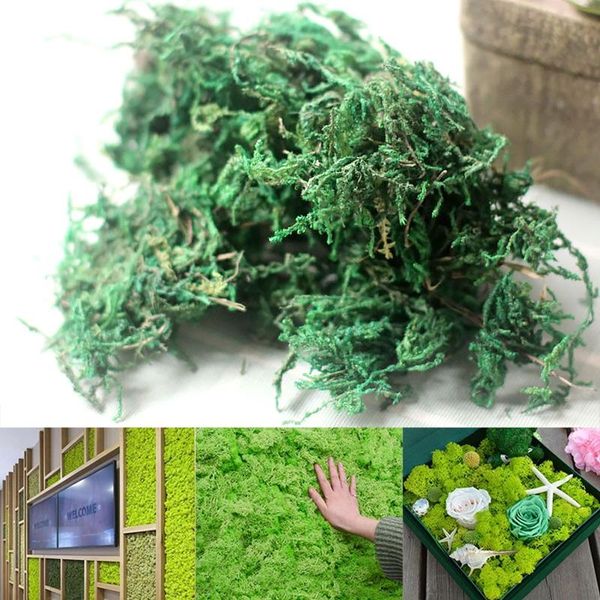 decorative flowers & wreaths artificial moss diy micro landscape decor mini garden model lawn fake green plants simulation turf flower pot w
decorative flowers & wreaths artificial moss diy micro landscape decor mini garden model lawn fake green plants simulation turf flower pot w