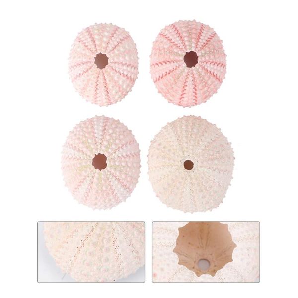 novelty items 4pcs natural sea urchin shells conch creative pineapple containers diy planting pots (random color)
novelty items 4pcs natural sea urchin shells conch creative pineapple containers diy planting pots (random color)