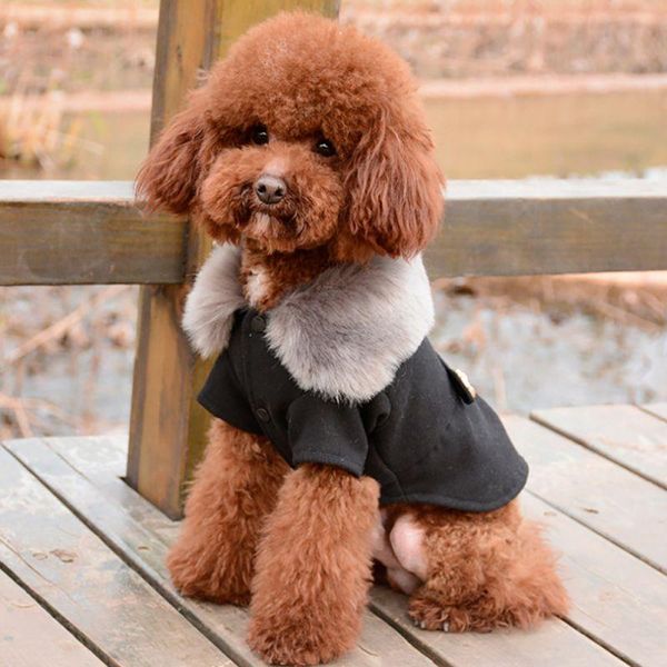 dog apparel pesupplies two-legged clothes solid color autumn and winter clothing cross-border honizi coawarm puppy plush
dog apparel pesupplies two-legged clothes solid color autumn and winter clothing cross-border honizi coawarm puppy plush