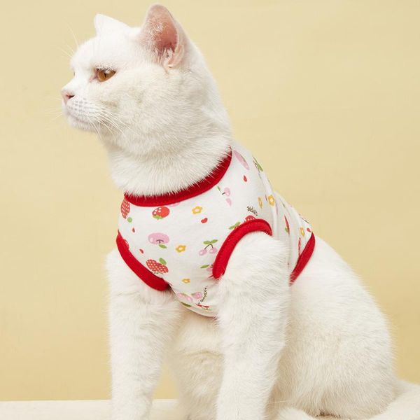 dog apparel 2021 spring and summer clothes cartoon fruit print pet t shirt cotton puppy undershirt
dog apparel 2021 spring and summer clothes cartoon fruit print pet t shirt cotton puppy undershirt
