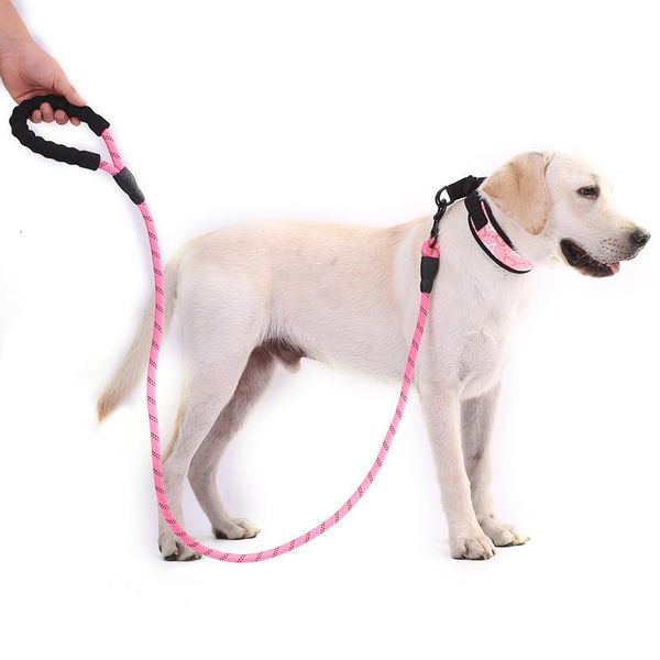 dog collars & leashes 1.5m leash for small large dogs reflective rope pets lead dog-collar harness nylon running pet products
dog collars & leashes 1.5m leash for small large dogs reflective rope pets lead dog-collar harness nylon running pet products