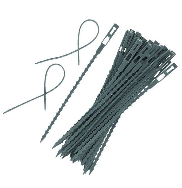 self-locking strap wrapped steel wire garden plant vine support clip fishbone practical mini tool good quality planters & pots
self-locking strap wrapped steel wire garden plant vine support clip fishbone practical mini tool good quality planters & pots