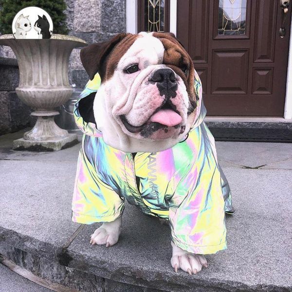 dog apparel raincoat clothes reflective clothe waterproof pet cat jacket magical outdoor clothing windproof
dog apparel raincoat clothes reflective clothe waterproof pet cat jacket magical outdoor clothing windproof