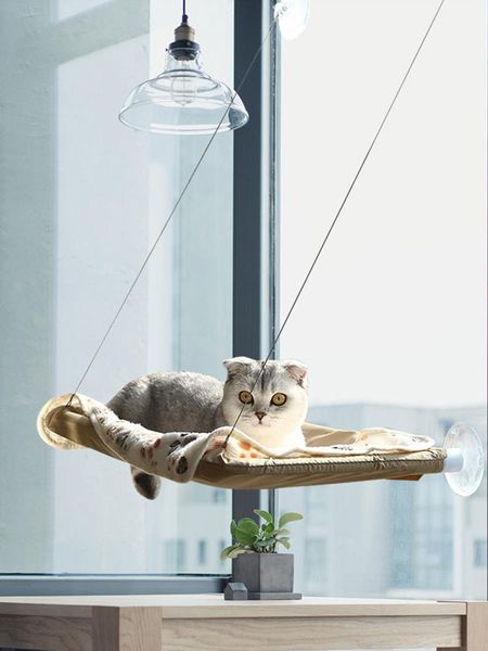 cat beds & furniture hammock winter sucker hanging nest swing window sunbathing pet supplies
cat beds & furniture hammock winter sucker hanging nest swing window sunbathing pet supplies
