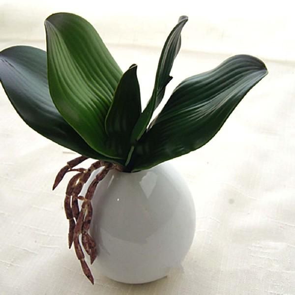 decorative flowers & wreaths 1pcs real touch butterfly orchid leaf artificial party home decor christmas wedding fake plant decoration
decorative flowers & wreaths 1pcs real touch butterfly orchid leaf artificial party home decor christmas wedding fake plant decoration