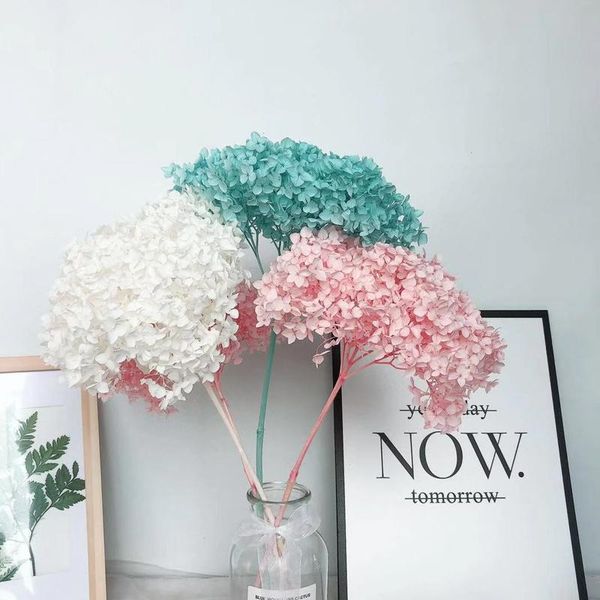 decorative flowers & wreaths 15-20cm head real dried natural preserved fresh hydrangea branches eternal rose forever floral with pole home d
decorative flowers & wreaths 15-20cm head real dried natural preserved fresh hydrangea branches eternal rose forever floral with pole home d