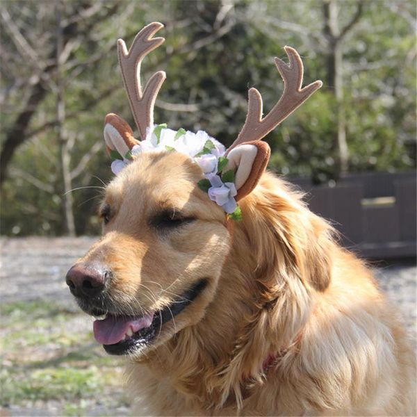 dog apparel cute antlers head band caps christmas pet hair headdress accessories for small dogs cats hats adjustable party decor
dog apparel cute antlers head band caps christmas pet hair headdress accessories for small dogs cats hats adjustable party decor