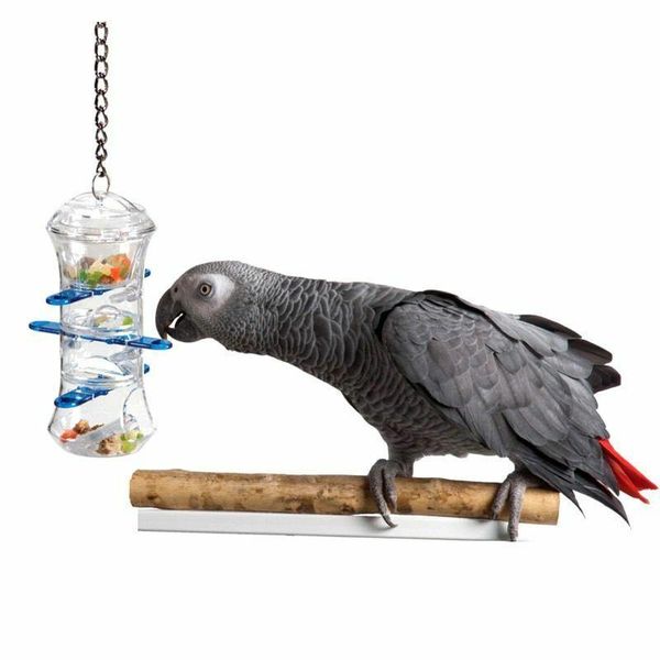 parrot toys push and pull bite resistant interactive treat holder foraging bird cages
parrot toys push and pull bite resistant interactive treat holder foraging bird cages