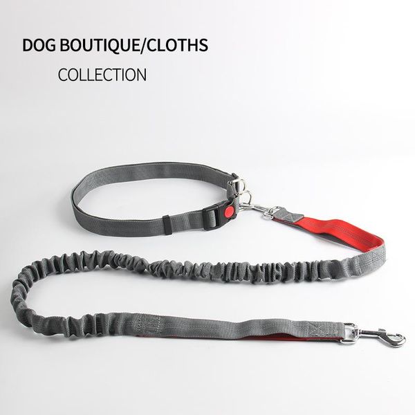 pet traction rope multi functional running reflective dog collar elastic chain supplies collars & leashes
pet traction rope multi functional running reflective dog collar elastic chain supplies collars & leashes