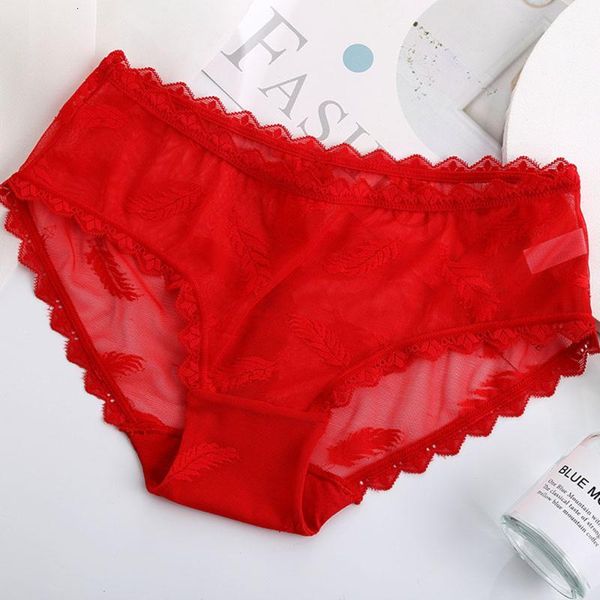 women's panties lace low waist temptation underwear transparent breathable comfortable ladies briefs 1w4c, Black;pink
women's panties lace low waist temptation underwear transparent breathable comfortable ladies briefs 1w4c, Black;pink
