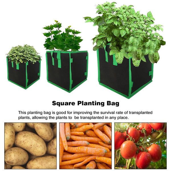 planters & pots fabric garden plant grow bag vegetable flower pot potato jardin seedling bags eco-friendly planter
planters & pots fabric garden plant grow bag vegetable flower pot potato jardin seedling bags eco-friendly planter
