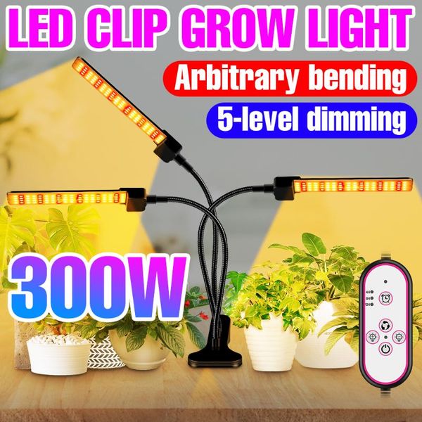 grow lights led lamp for plant light full spectrum phytolampy 12v hydroponics lampara greenhouse bombilla growth seed tent bulb
grow lights led lamp for plant light full spectrum phytolampy 12v hydroponics lampara greenhouse bombilla growth seed tent bulb