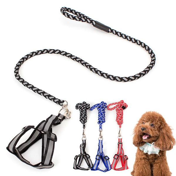 cat collars & leads reflective pet dog collar leash harness for small medium large dogs nylon puppy cats lead
cat collars & leads reflective pet dog collar leash harness for small medium large dogs nylon puppy cats lead