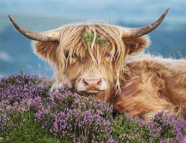 paintings cattle animal oil pictures wall decoration framed colorings by numbers with diy picture drawing painting
paintings cattle animal oil pictures wall decoration framed colorings by numbers with diy picture drawing painting